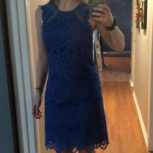 Royal Blue Lace Dress